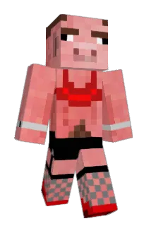 PigTactics Minecraft avatar full body