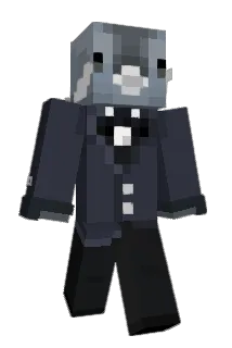 Pigdid Minecraft avatar full body