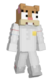 PigiPL Minecraft avatar full body