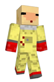 Piginabag Minecraft avatar full body