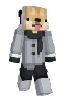 Piipee_ Minecraft avatar full body