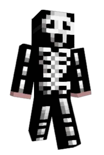 Pika687 Minecraft avatar full body