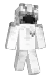 Pillaca Minecraft avatar full body