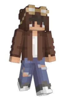 Pilott Minecraft avatar full body
