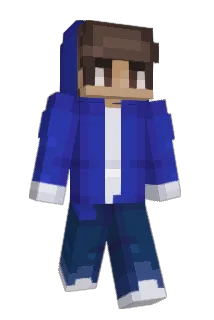 PinTheTin Minecraft avatar full body