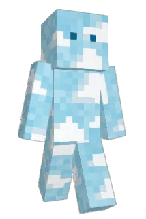 PineConeDonut Minecraft avatar full body