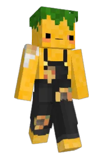 Pinepappel Minecraft avatar full body