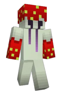 PingaCheww Minecraft avatar full body