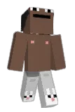 Pingo447 Minecraft avatar full body