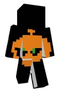 Pinguin202 Minecraft avatar full body