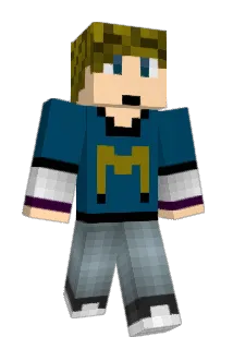 Pingvinpenis Minecraft avatar full body