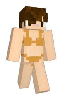 Pingwinn08 Minecraft avatar full body