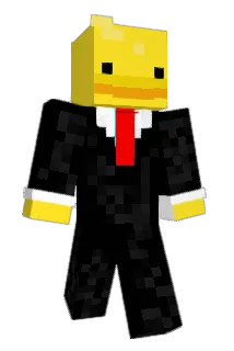 Pinjab Minecraft avatar full body