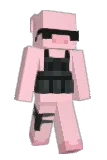 PinkGirl25 Minecraft avatar full body