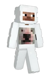 Pinkb23 Minecraft avatar full body