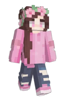 Pinkdisc Minecraft avatar full body