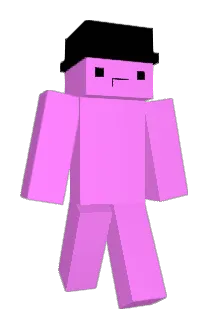 Pinktord Minecraft avatar full body