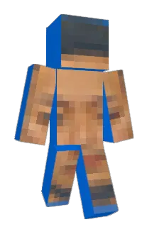 Pinotin55 Minecraft avatar full body