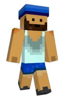 Pinpickle Minecraft avatar full body