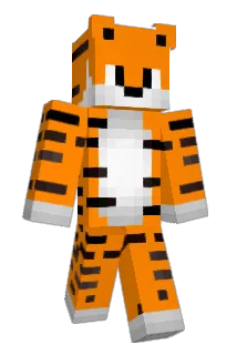 PinqPonq_ Minecraft avatar full body