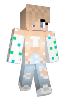 Pinto919 Minecraft avatar full body