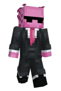 Pioterzak Minecraft avatar full body