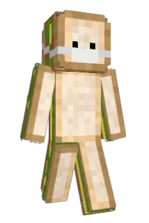 Piqnix Minecraft avatar full body