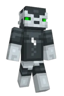 Pism40 Minecraft avatar full body