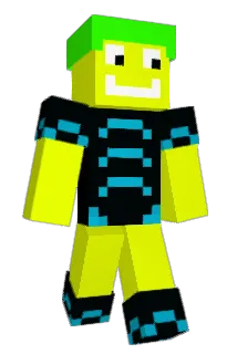 Pitt144 Minecraft avatar full body