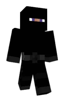Pix583 Minecraft avatar full body