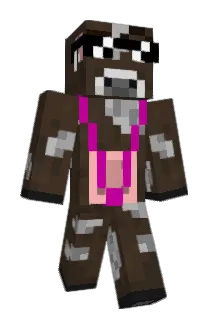 Pixelated_E_ Minecraft avatar full body