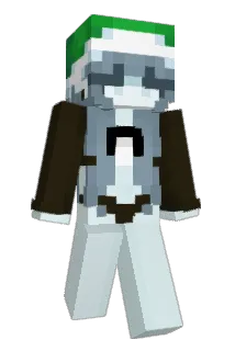 Pixellam Minecraft avatar full body