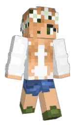 Custom render preview