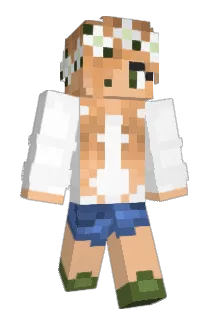 Pixels2013 Minecraft avatar full body