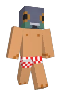 PixilBirdy Minecraft avatar full body