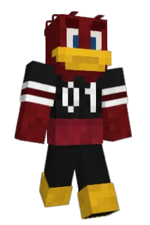 Pizalu305 Minecraft avatar full body