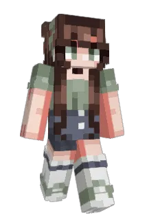 PlaneZebra97993 Minecraft avatar full body