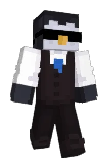 Planschi123 Minecraft avatar full body