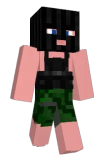 Plarr Minecraft avatar full body