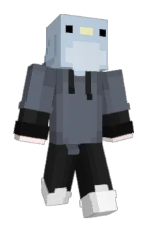 Plaschke Minecraft avatar full body