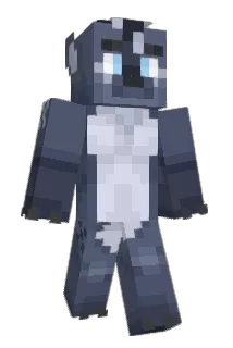 Plattyy Minecraft avatar full body