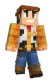 Plattzy Minecraft avatar full body