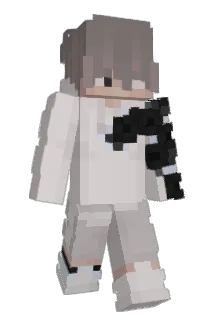 PlatyWin Minecraft avatar full body