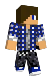 PlatypusNinja8 Minecraft avatar full body
