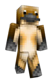 Platypuzzy Minecraft avatar full body