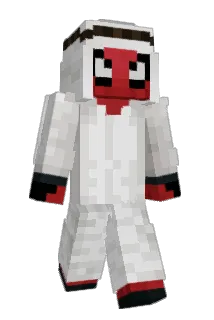 PlayAapje Minecraft avatar full body