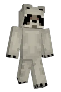 PlayerInDistres Minecraft avatar full body