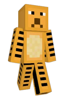 PlayfulTiger Minecraft avatar full body