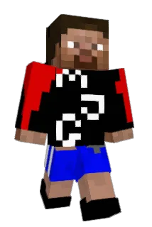 Plessen Minecraft avatar full body