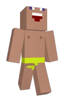 Pletkip Minecraft avatar full body